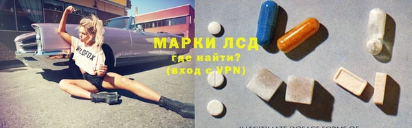 PSILOCYBIN Вяземский