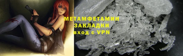 PSILOCYBIN Вяземский