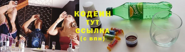 PSILOCYBIN Вяземский