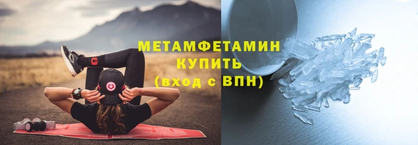 PSILOCYBIN Вяземский