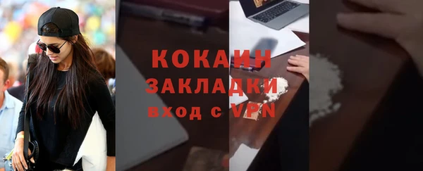 PSILOCYBIN Вяземский