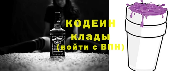 PSILOCYBIN Вяземский