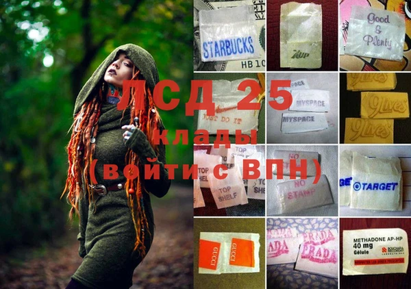 PSILOCYBIN Вяземский